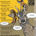 Les 40 ans du GPNG, ça se fête!