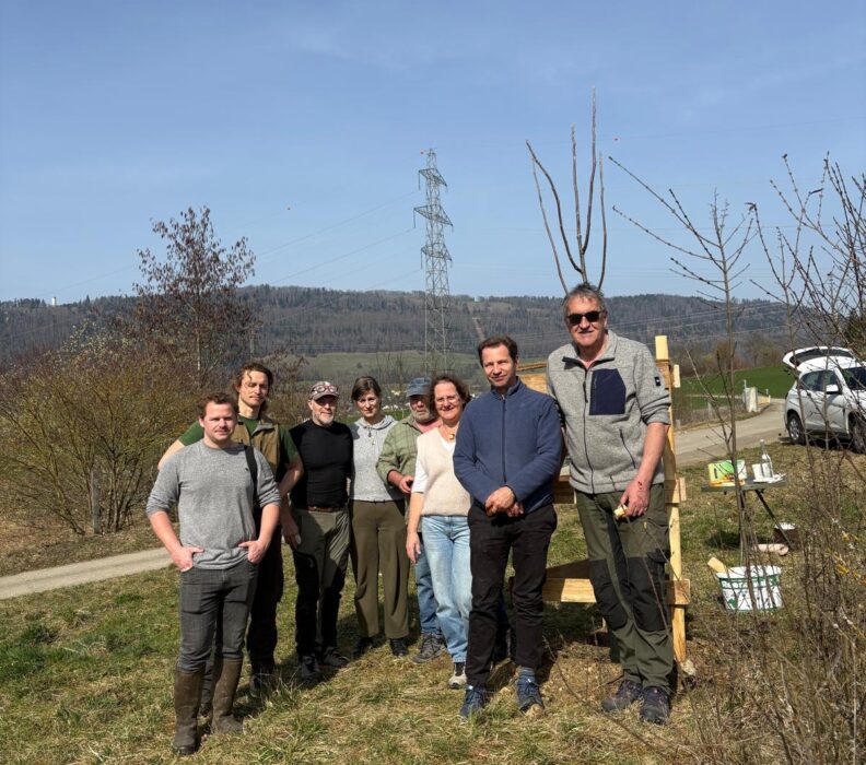 Un noyer pour célébrer la biodiversité